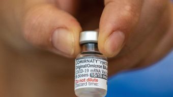 Bivalent vaccine is applied to more than 4.1 million people – News