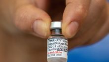 Covid-19: Anvisa atesta segurança de doses da vacina bivalente 