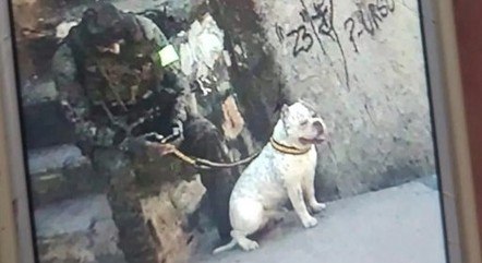 Internautas compartilharem a foto de Thor que viralizaram na web
