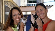 Nova Iguaçu (RJ) promove feira de adoção de cães e gatos neste sábado (20)  