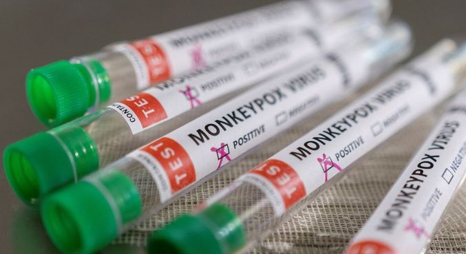 Brasil poderá ter vacina aprovada para combater a varíola do macaco 