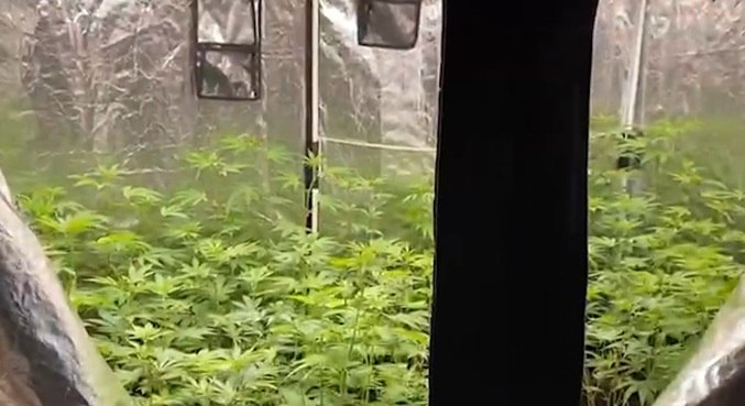 Quarto foi transformado em estufa em casa de luxo
