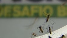 Contagem (MG) registra a primeira morte por chikungunya da cidade 