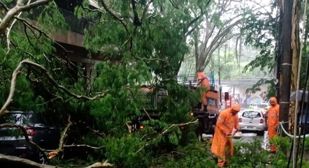 Chuva causou queda de árvores e bolsões de água