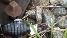 RJ: Estações de trem reabrem após Esquadrão Antibombas detonar granada caseira em linha férrea