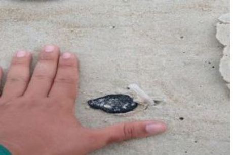 Mancha foi encontrada na praia do Peró