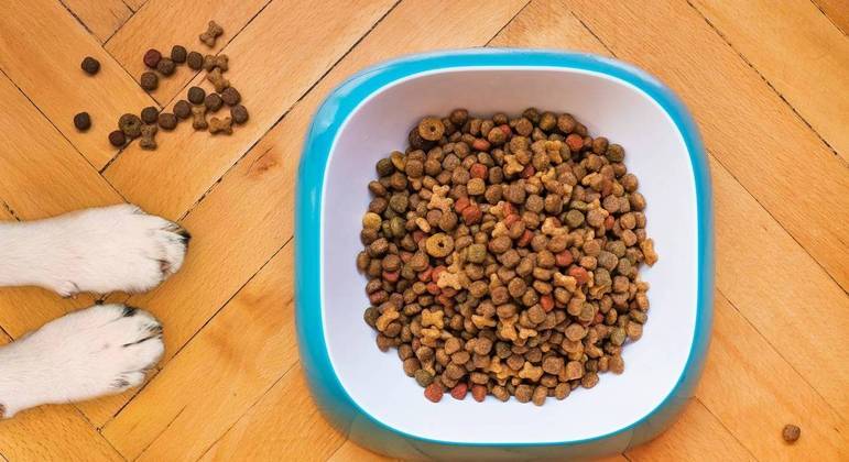 Ração de alta qualidade supre todas as necessidades nutricionais dos pets