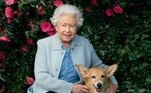 Os adorados corgis da rainha Elizabeth 2ª, cães inseparáveis ​​da soberana que morreu na última quinta-feira (8), aos 96 anos, finalmente encontraram um lar: o do príncipe Andrew