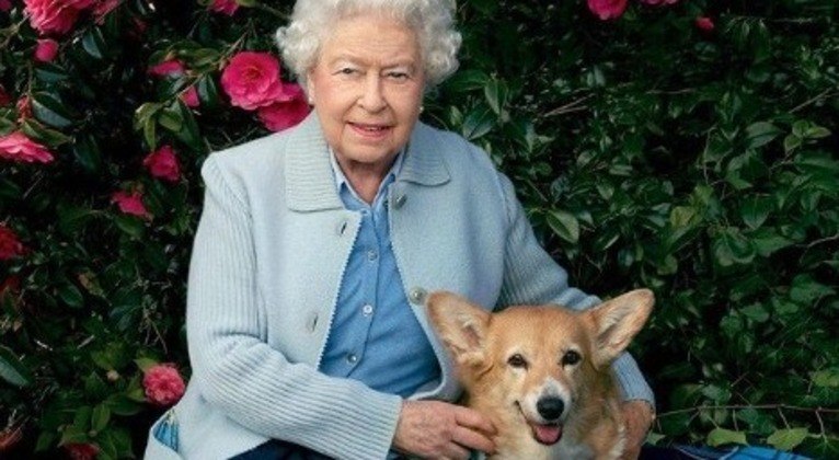 Assim como o filho e a nora, a rainha Elizabeth 2ª, que morreu em setembro de 2022, também amava os animais. Ela já foi tutora de mais de 30 cachorros, todos da raça corgi, a sua favorita 