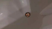Ralo de banheira iluminado intriga hóspede: 'O que poderia ser?' 