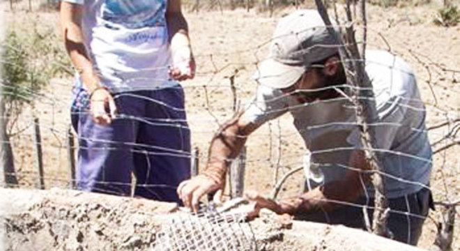 Uma rampa construída pela equipe evita que águias morram afogadas em reservatórios de água