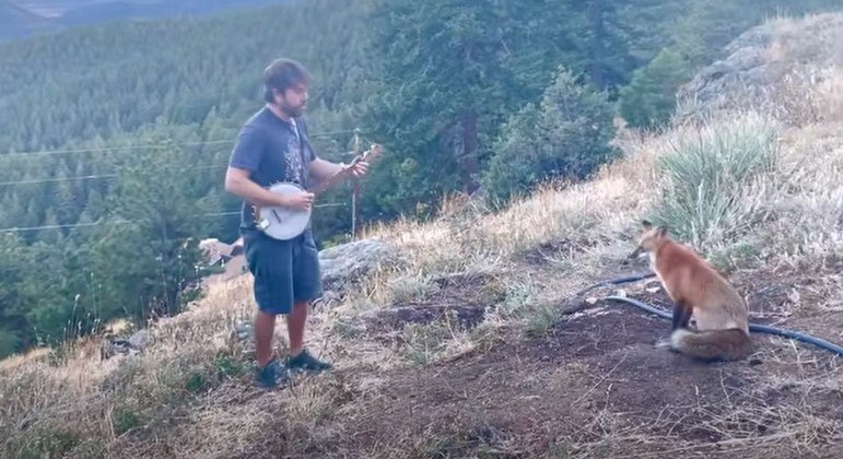 Animal gostou muito dos sons e foi até homenageada na composição