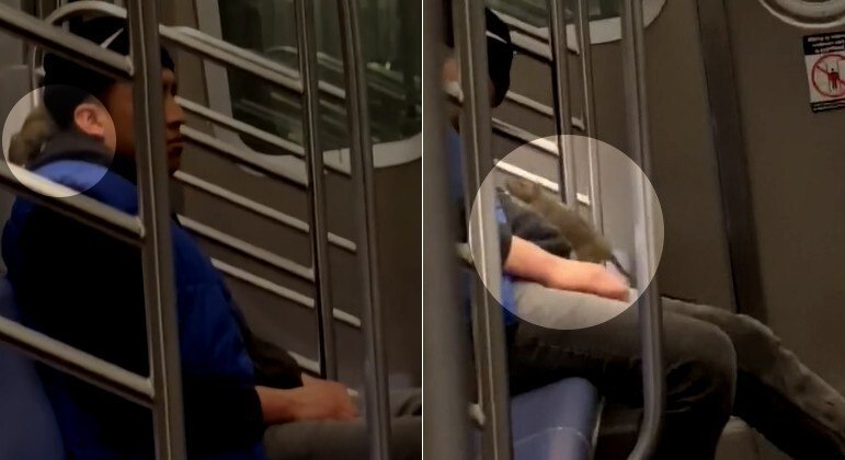 Ratazana foi flagrada sobre passageiro do metrô de NY