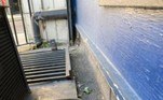O imenso roedor foi fotografado já morto em um beco no norte de Londres. Repare também na imensa cauda do animal