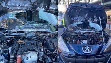 Ratos são suspeitos de provocarem incêndio em motor de carro
