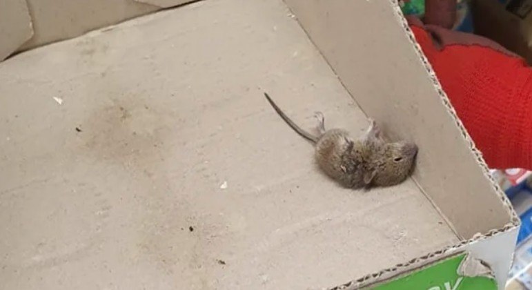 Repositor alega ter achado rato morto em caixa usada para expor maionese em prateleira