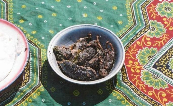 Ratos - Consumidos na Índia, cozidos em água com sal e pimenta. Como guarnição, vegetais folhosos e gengibre.