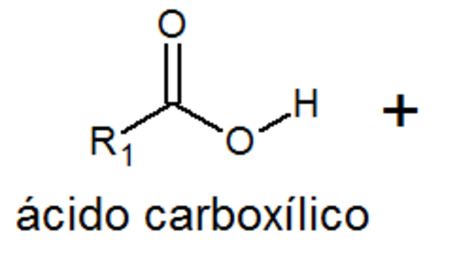 Reações de esterificação - O que são, aplicações e característica
