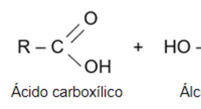 Reações de esterificação - O que são, aplicações e característica