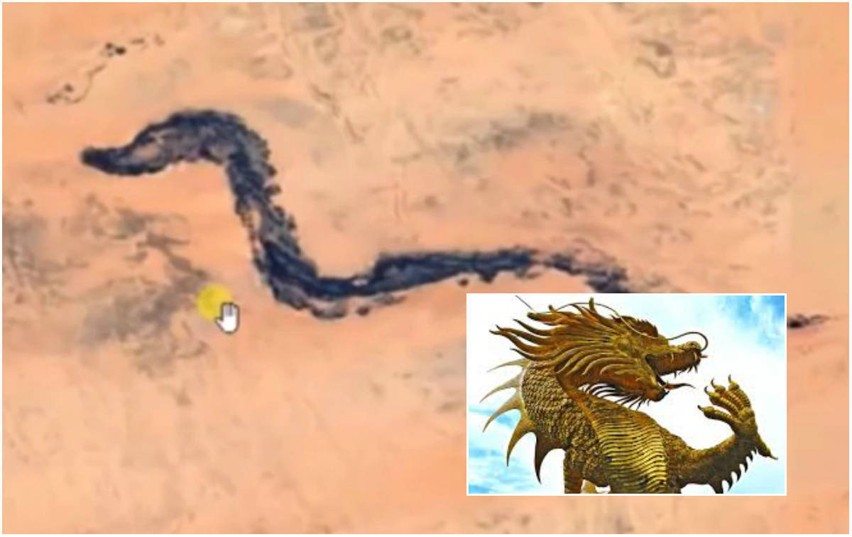 Esqueleto de cobra gigante é encontrado através do Google Maps