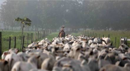 Janeiro bate recorde em exportação de carne bovina