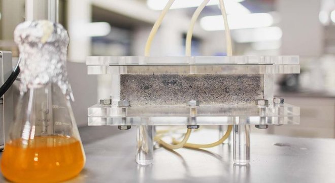 Os biotijolos levam de quatro a seis dias para serem cultivados