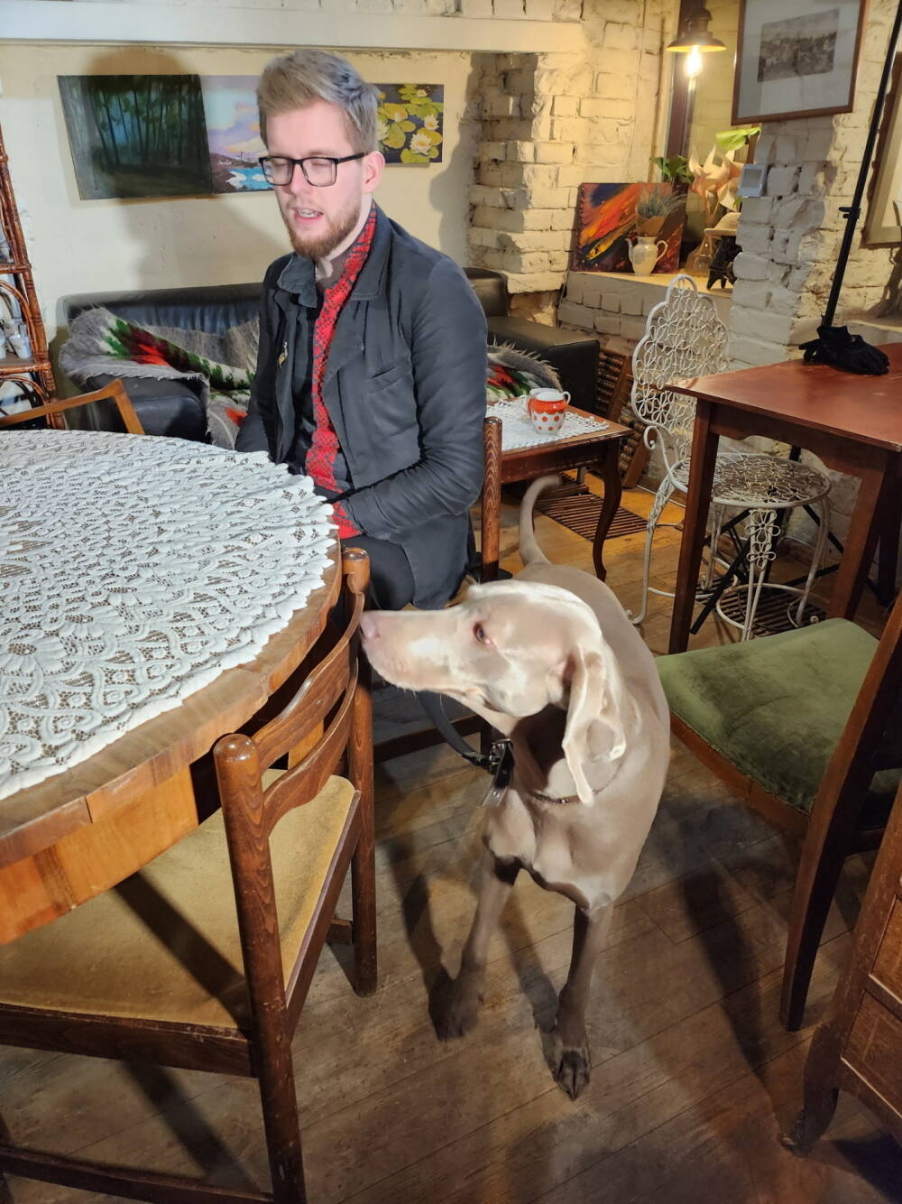 Yurash Sviatoslav: deputado resgatou cão que encontrou na frente de batalha (Tony Chastinet/Record TV)