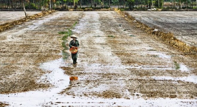 Agricultura no Delta do Mekong, uma importante região agrícola no sul da Ásia, que é afetada pela mineração de areia