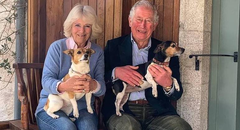 Rei Charles 3º e a rainha Camilla posam com seus cachorros, Beth e Bluebell