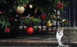 Larry the Downing Street cat sits under the Christmas tree on Downing Street in London, Britain, 17 December 2019. (Reino Unido, Londres) EFE/EPA/ANDY RAIN