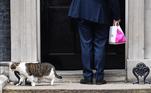Downing Street cat, Larry, outside No. 10 Downing Street in London, Britain, 03 September 2019. Britain's Prime Minister Boris Johnson faces a vote in Parliament from Conservative rebels who are joining with opposition parties in bringing forward a bill designed to stop Britain leaving the EU on 31 October without an agreement. (Reino Unido, Londres) EFE/EPA/ANDY RAIN