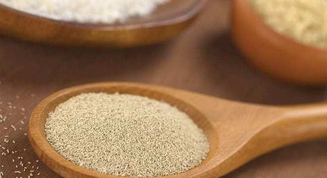 Remédios caseiros para espinha - receitas para acabar com o problema