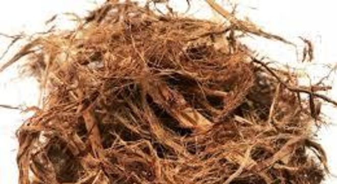 Remédios para asma - soluções fármacas e caseiras para o problema