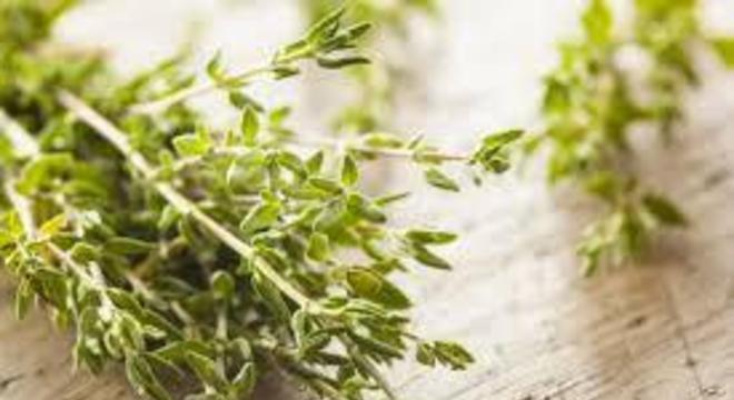 Remédios para asma - soluções fármacas e caseiras para o problema