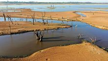 Brasil perde 16% de recurso hídrico em 30 anos, aponta estudo