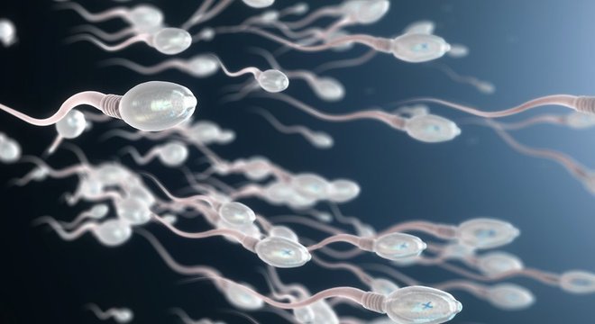 Para tentar contornar a infertilidade, recomenda-se aos atingidos pela síndrome que congelem espermatozóides durante a puberdade
