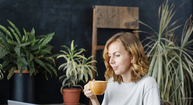 Reprodução: Shutterstock