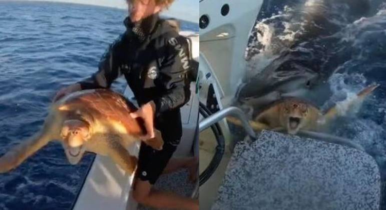 A tartaruga ficou sã e salva com a ajuda dos pescadores
