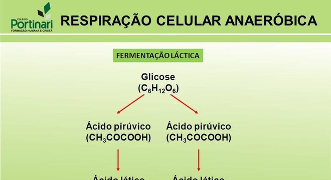 Respiração celular: como e onde ela ocorre? De que forma se dá?