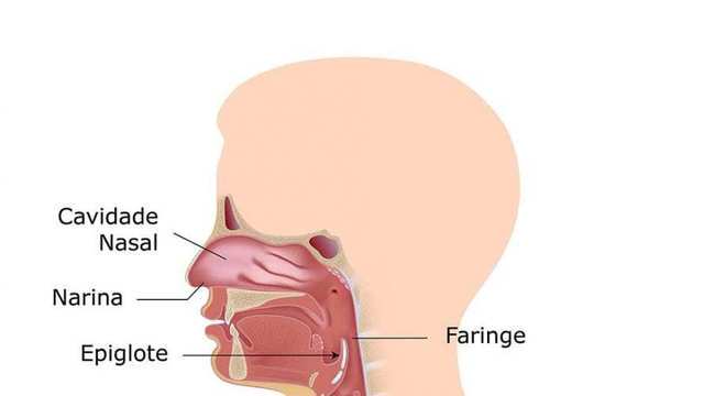 Respiração - o ato involuntário e importantíssimo para o nosso corpo