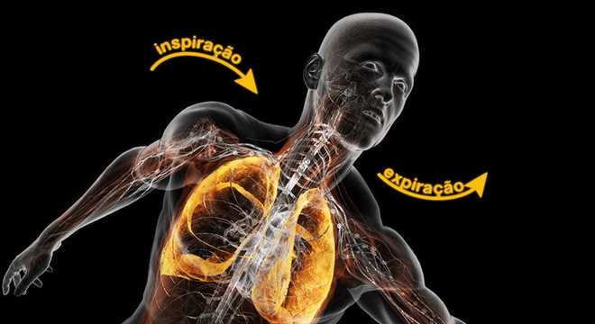 Respiração - o ato involuntário e importantíssimo para o nosso corpo