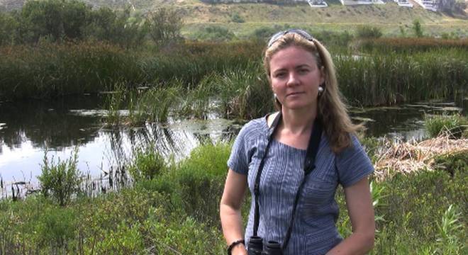 Audubon Andrea Jones, da organização ambientalista National Audubon Society, diz que os ataques estão com certeza aumentando