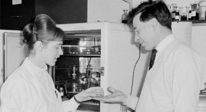 Jean Purdy trabalhou com Robert Edwards no desenvolvimento da fertilização in vitro