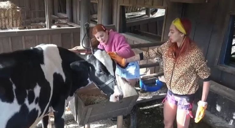 Apesar do medo do touro, Ruivinha arrasou no trato da vaquinha e do bezerro. Deborah foi um apoio importante, e não deixou a cantora desanimar nem por um minuto. As duas protagonizaram momentos engraçados durante a tarefa, como quando fugiram das cabeçadas do bicho. Além da vaca, Ruivinha cuidou das aves, ovelhas, Colorado, lhamas e cuidou da horta e do lixo