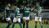 Palmeiras precisa de quatro pontos para ser campeão; veja os últimos dois jogos (Carla Carniel/Reuters - 29.11.2023)