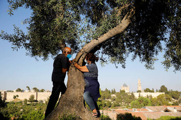 A couple take part in a campaign by Israel's Nature and Parks Authority calling on Israelis to join sightseeing tours and find comfort in tree hugging amid a spike in the coronavirus disease (COVID-19), as part of Jerusalem's Old City walls are seen in the background July 9, 2020. Picture taken July 9, 2020. REUTERS/Ronen Zvulun
