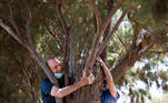 A couple take part in a campaign by Israel's Nature and Parks Authority calling on Israelis to join sightseeing tours and find comfort in tree hugging amid a spike in the coronavirus disease (COVID-19), in Apollonia National Park, near Herzliya, Israel July 7, 2020. Picture taken July 7, 2020. REUTERS/Ronen Zvulun