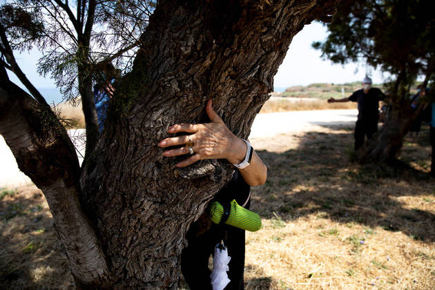 People take part in a campaign by Israel's Nature and Parks Authority calling on Israelis to join sightseeing tours and find comfort in tree hugging amid a spike in the coronavirus disease (COVID-19), in Apollonia National Park, near Herzliya, Israel July 7, 2020. Picture taken July 7, 2020. REUTERS/Ronen Zvulun