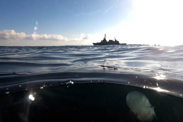 Câmera subaquática flagra águas-vivas sob navio militar de Israel no mar Mediterrâneo