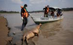 Um levantamento da Defesa Civil do Amazonas mostrou que, até segunda-feira (2), 21 municípios do estado estavam em situação de emergência, outros 37 em alerta e 2 em atenção